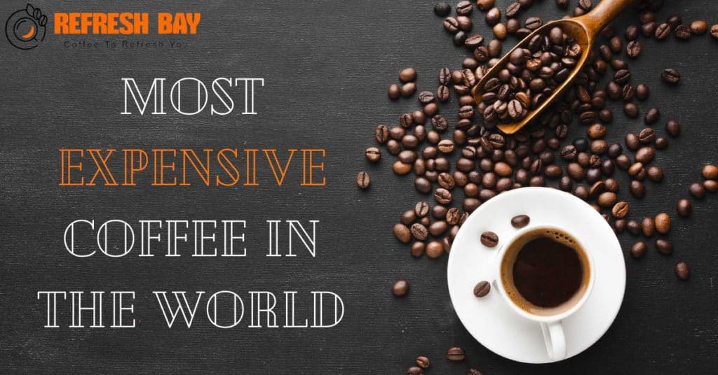 The Most  Expensive  Coffee  In The World  2022 Refresh Bay